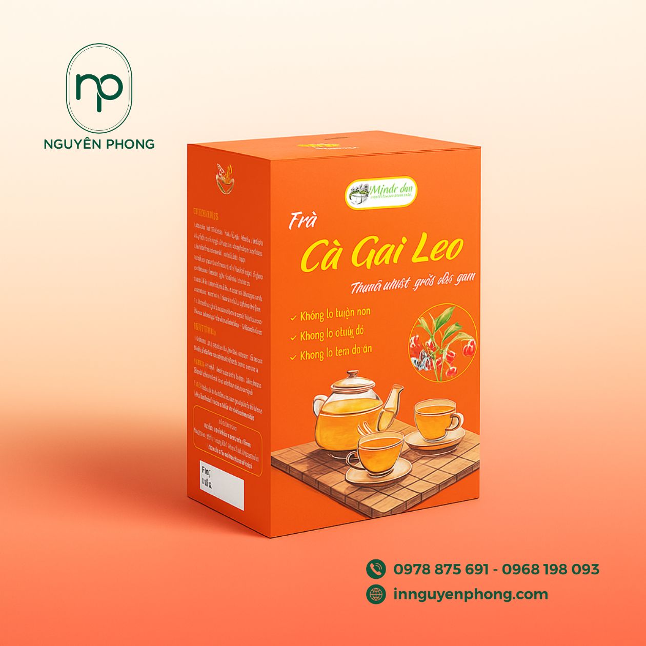 mẫu hộp đựng cà gai leo
